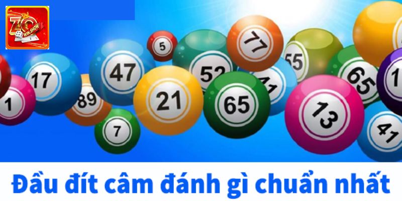 Đầu Đít Câm Đánh Lô Gì? Kinh Nghiệm Chơi Hiệu Quả Cao