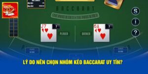Nhóm Kéo Baccarat Zowin Là Gì? Cách Nhận Biết Nhóm Lừa Đảo